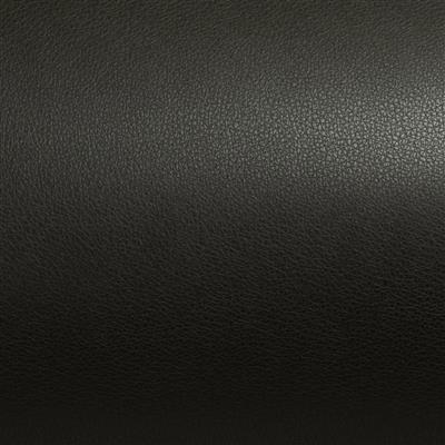 Black Leather Skin