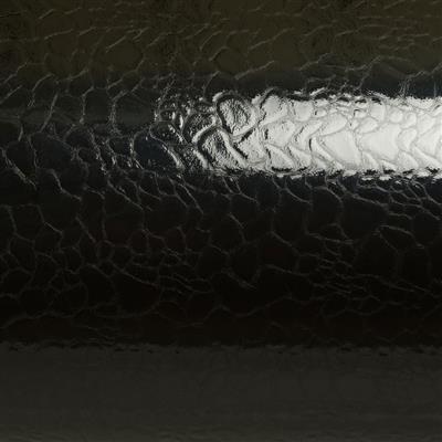 Shiny Black Leather Skin