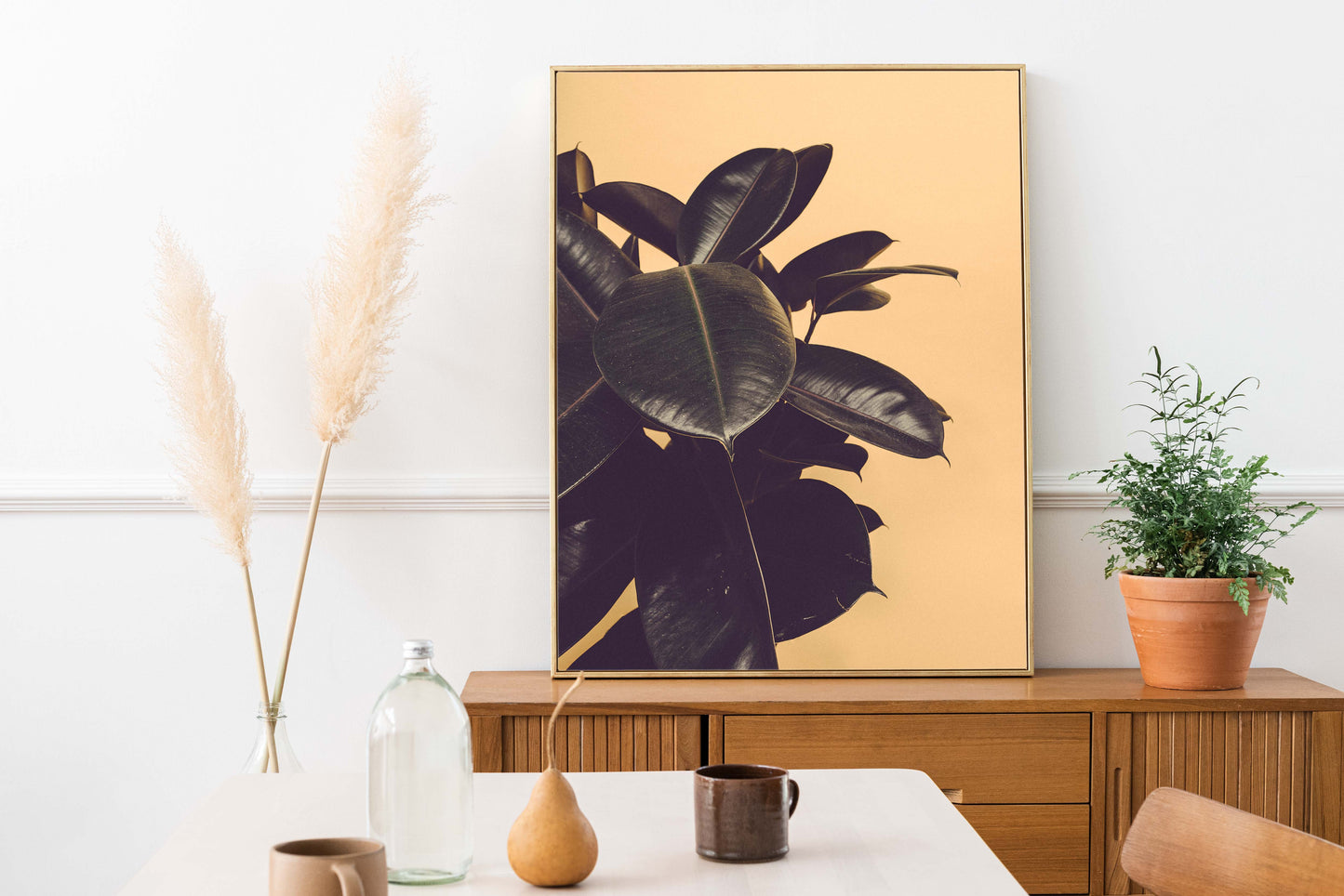 Ficus Plant Photography Print