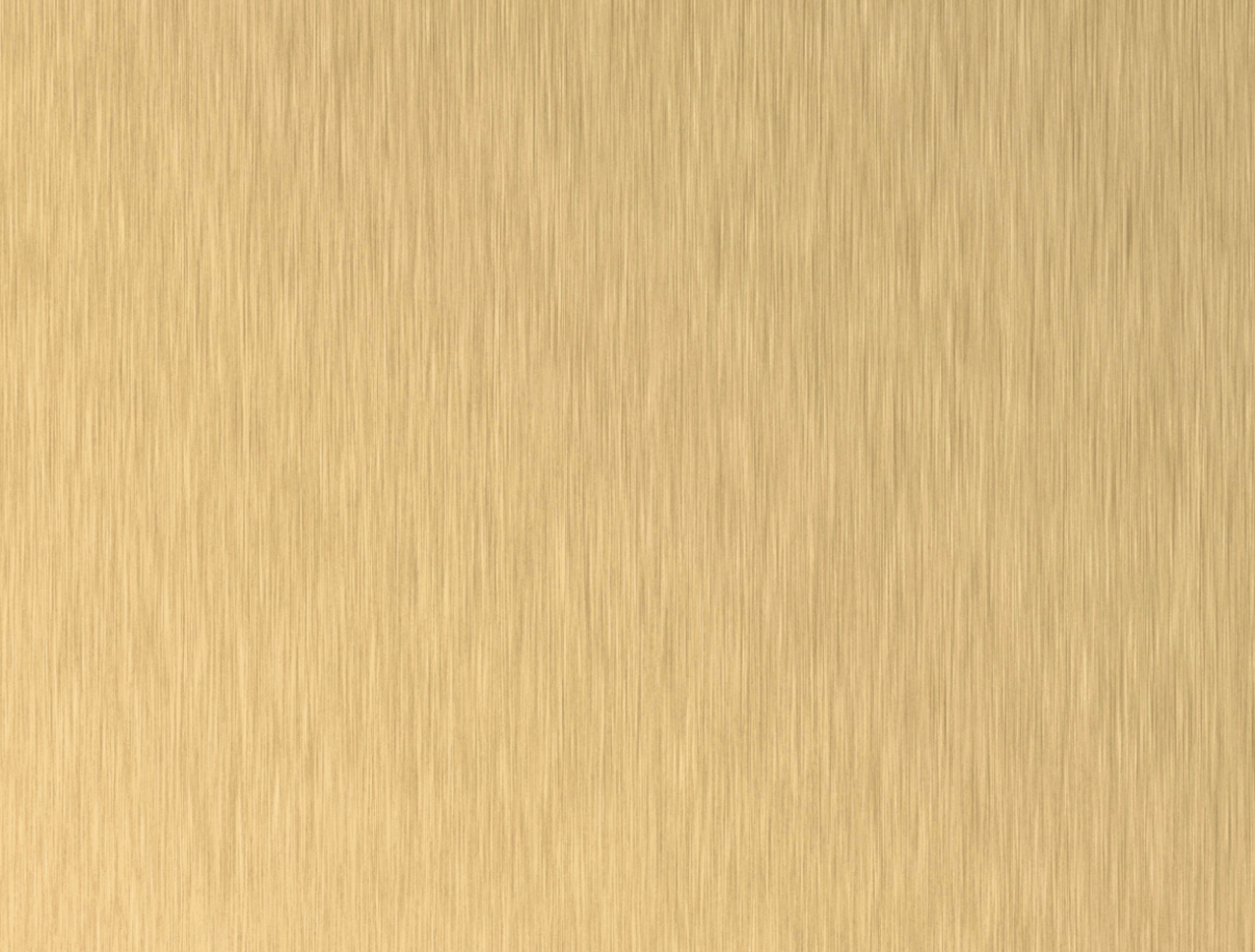 Brushed Gold Textured Skin