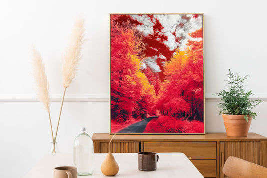 Infrared Forest Photography Print