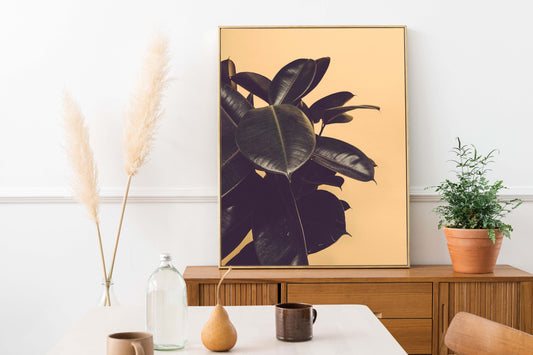 Ficus Plant Photography Print