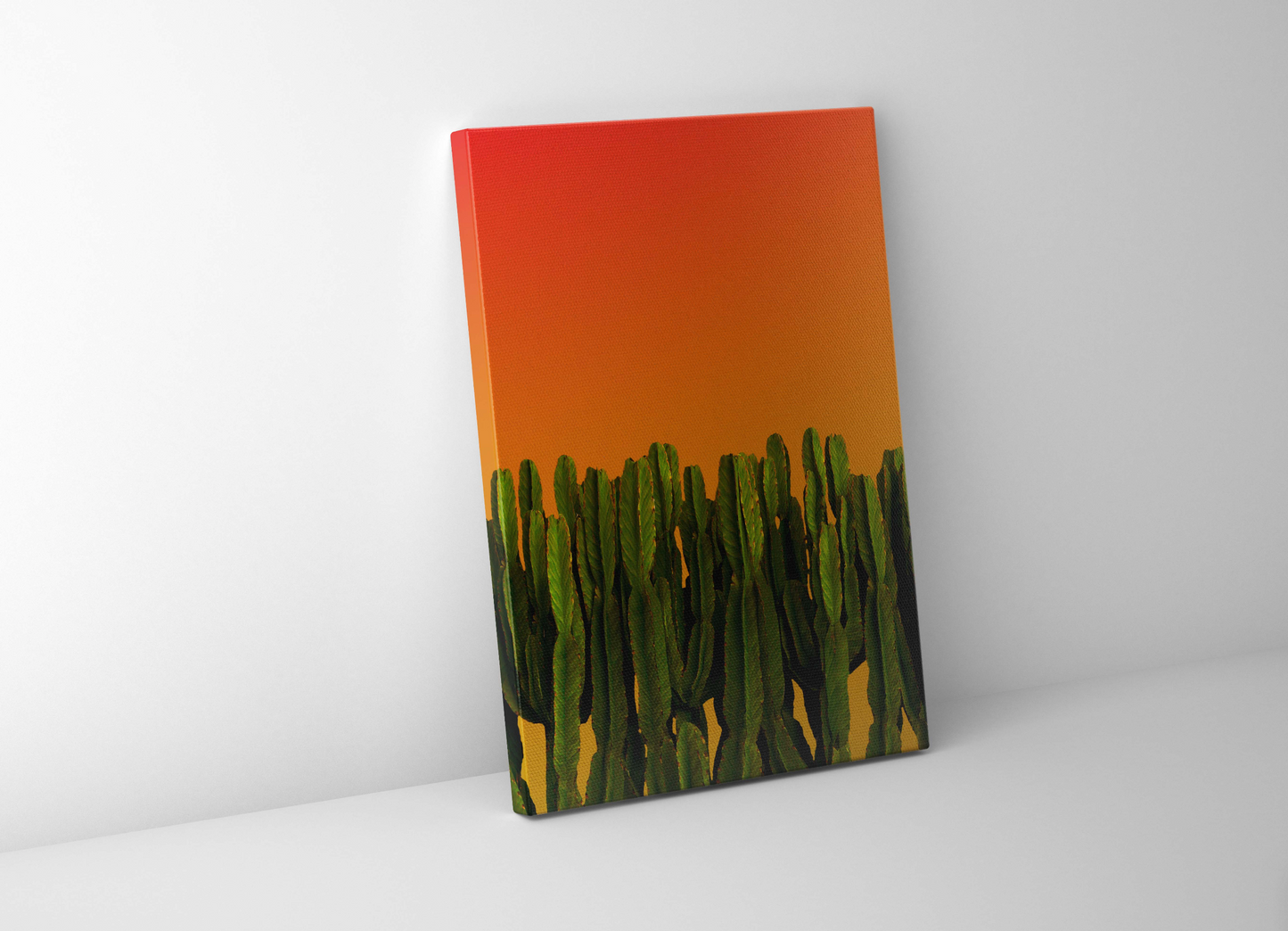 Cactus on Orange Background Canvas