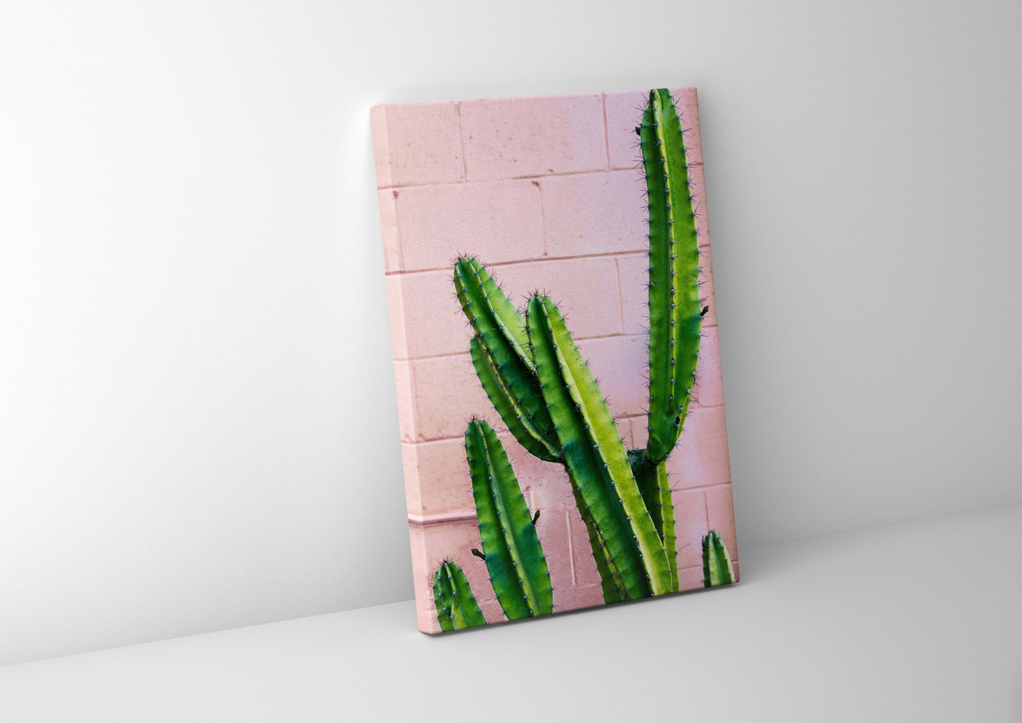 Copy of Cactus on Pink Background Canvas