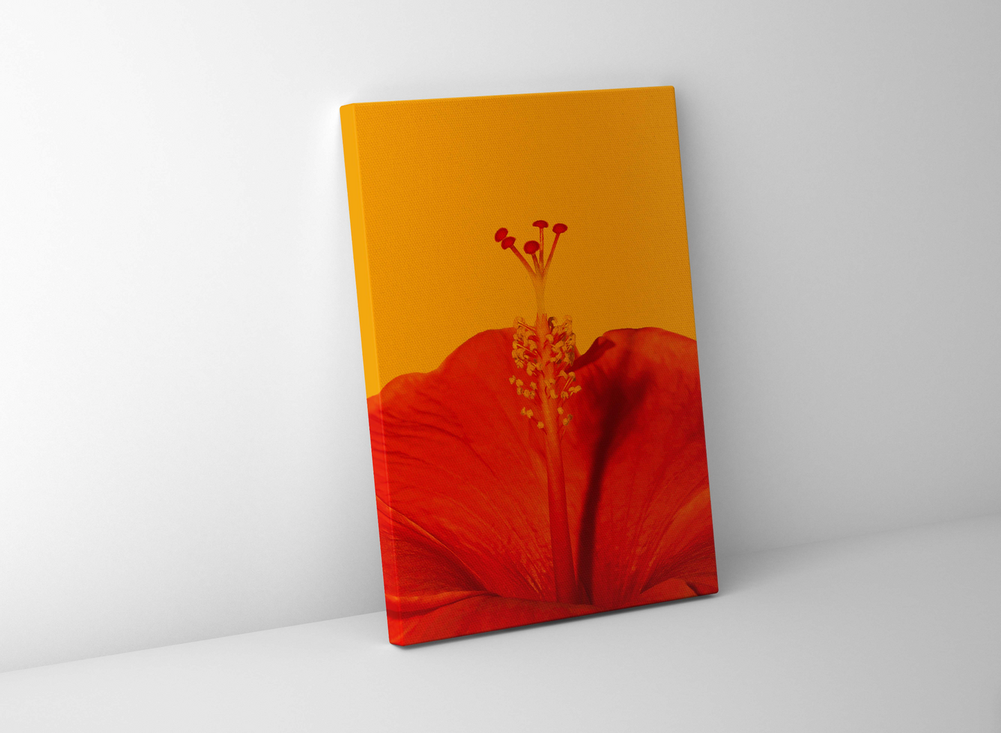 Red Infrared Hibiscus Flower Canvas