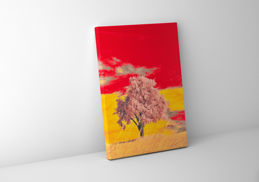 Infrared Landscape | Pink Tree Canvas