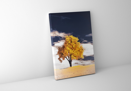 Infrared Landscape | Yellow Tree Canvas